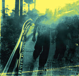 Shauna, Denzel, and Aaron